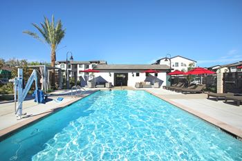 A large swimming pool in an apartment complex with a palm tree.