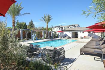 A pool area with sun loungers and palm trees.