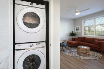 In unit wash/dryer