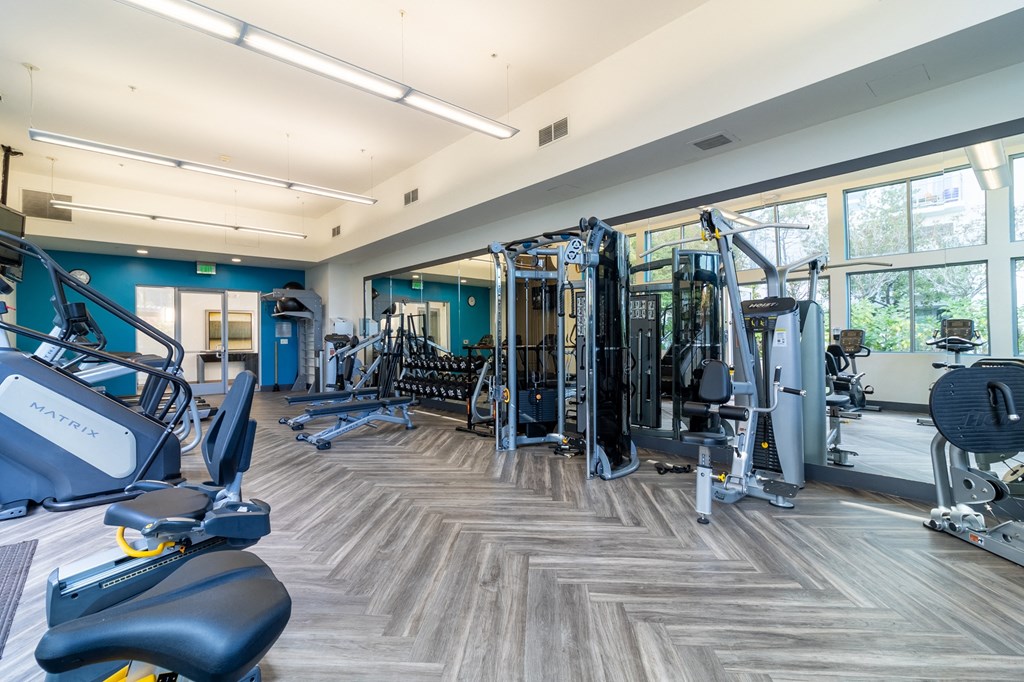 a gym with cardio machines and weights in a building with large windows