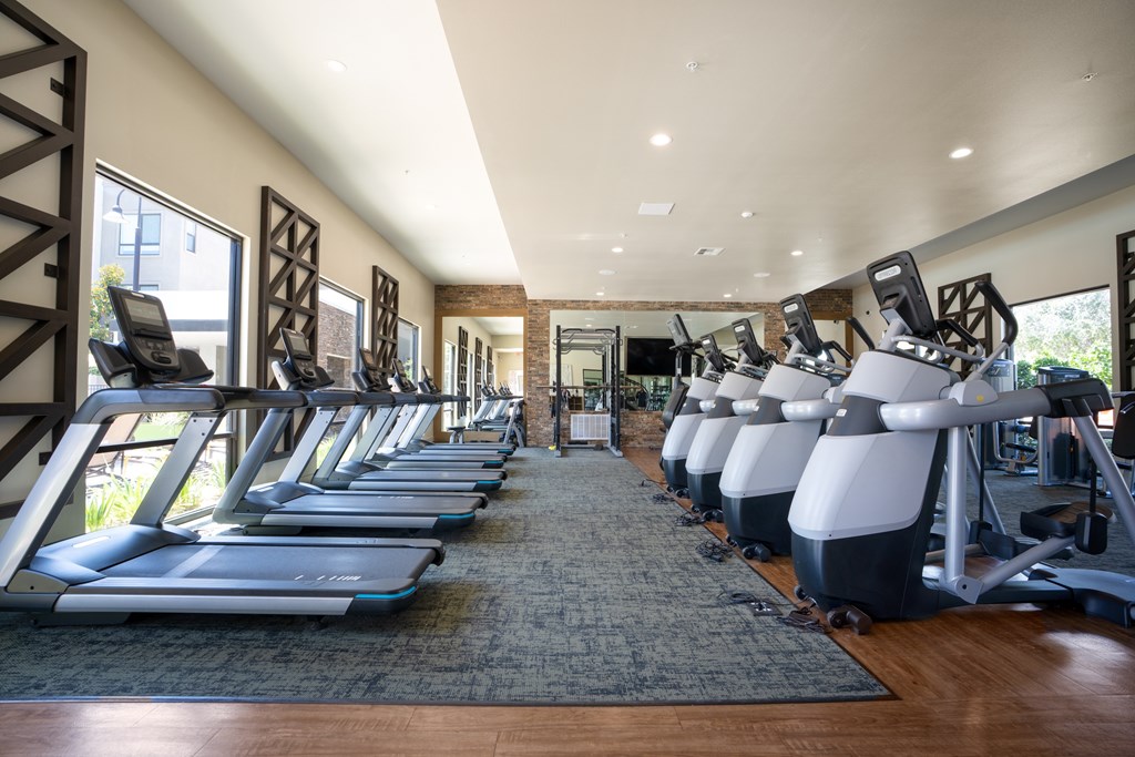 A gym with treadmills and elliptical machines.