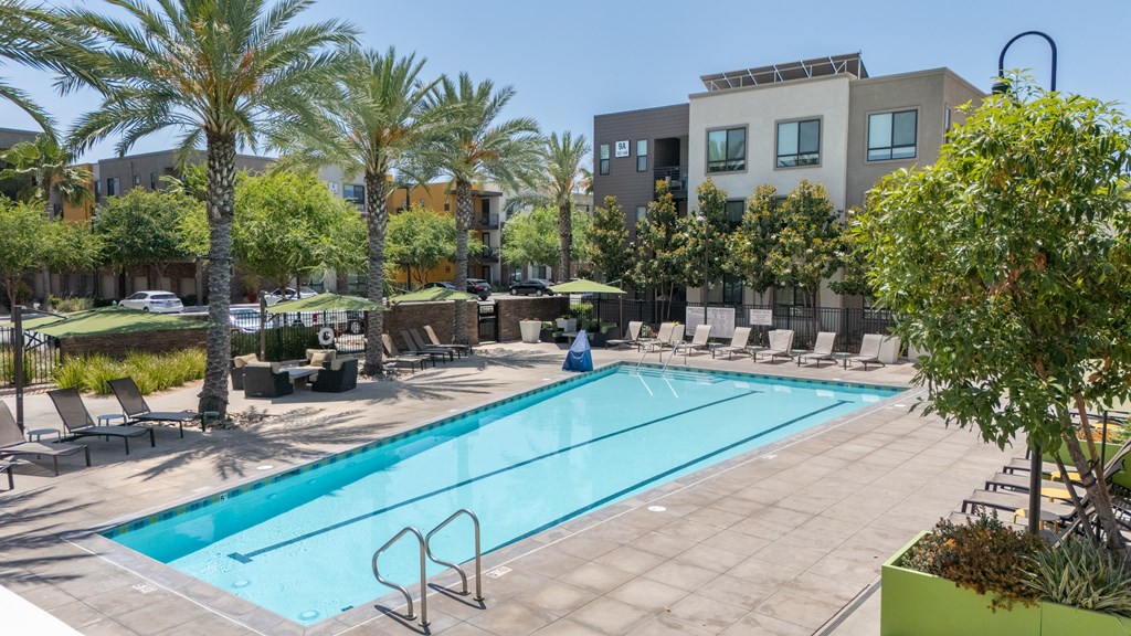 A swimming pool surrounded by palm trees and lounge chairs.