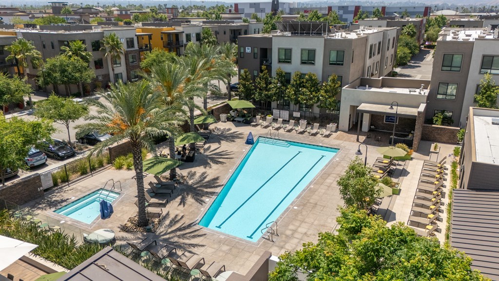 A pool surrounded by palm trees and buildings.