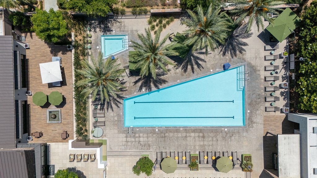 A swimming pool surrounded by palm trees and lounge chairs.