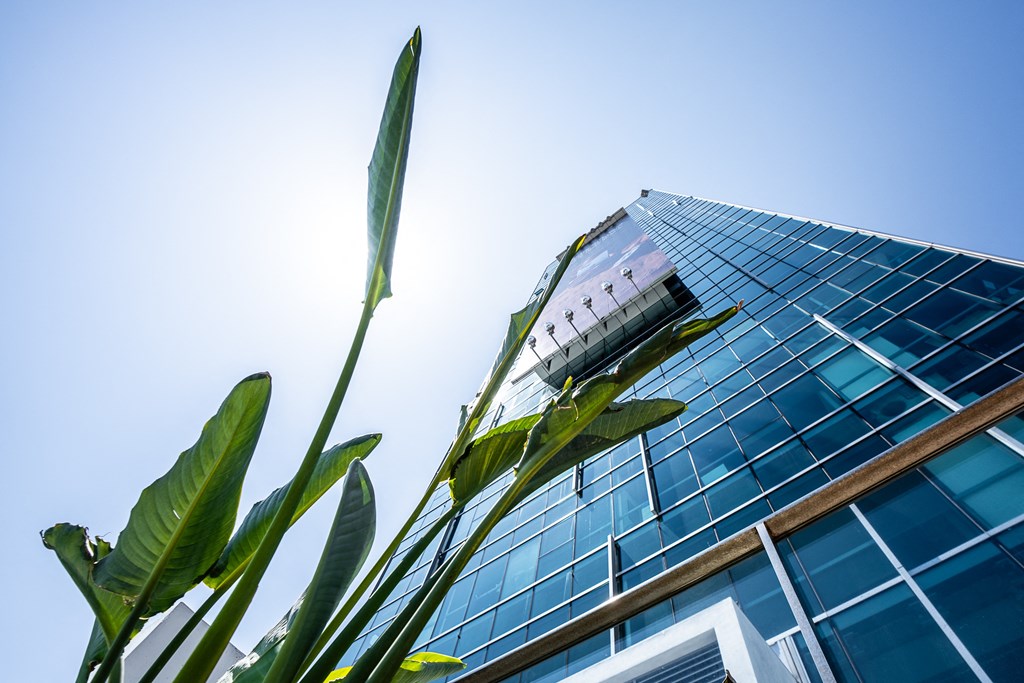 a tall glass building with a large green plant in the foreground