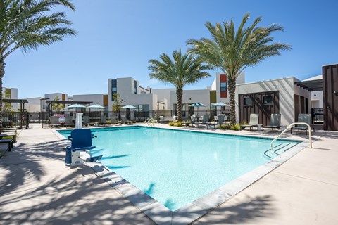 A swimming pool surrounded by palm trees and modern buildings.
