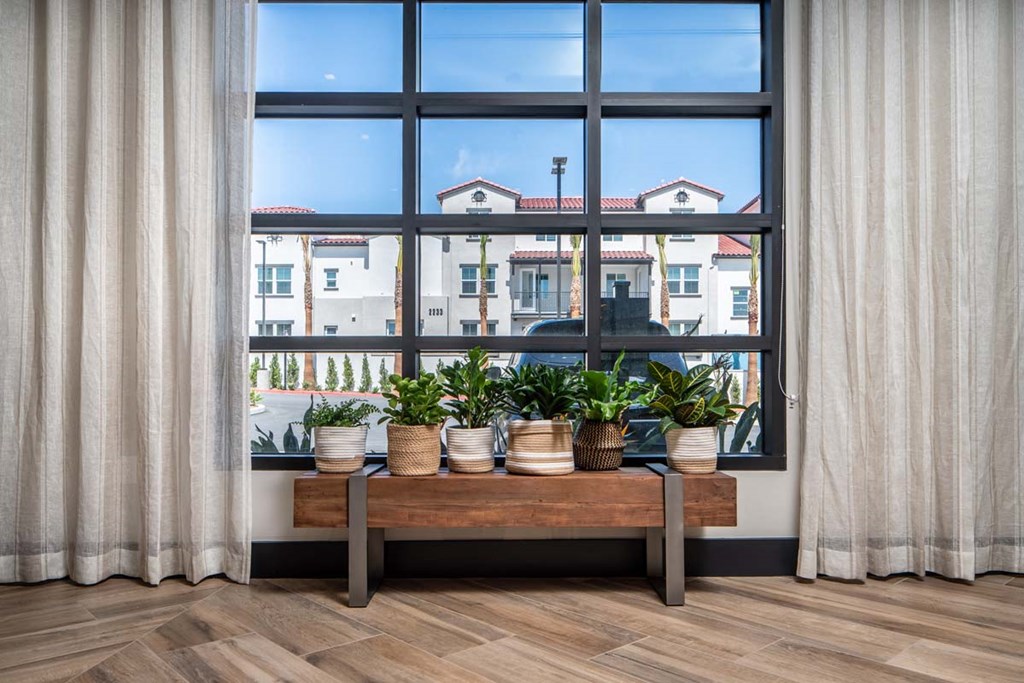 a view of a window with potted plants in front of it
