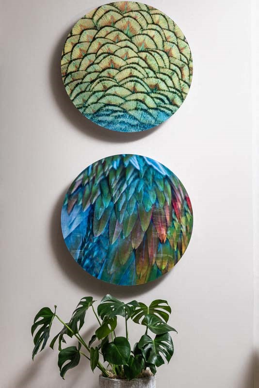 two plates hanging on a wall next to a plant