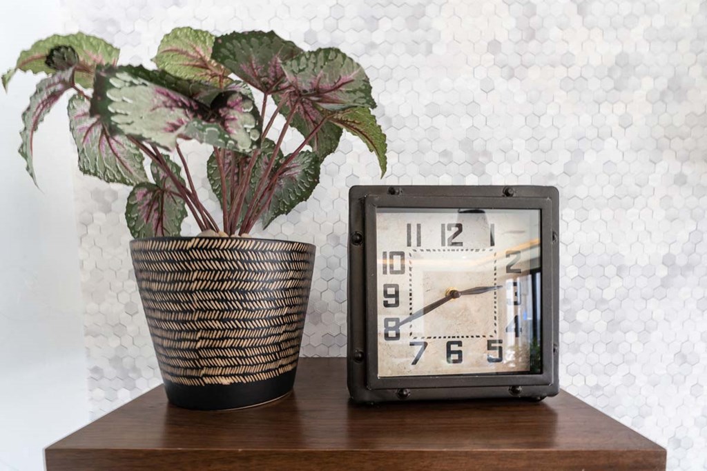 a clock sitting on a shelf next to a plant