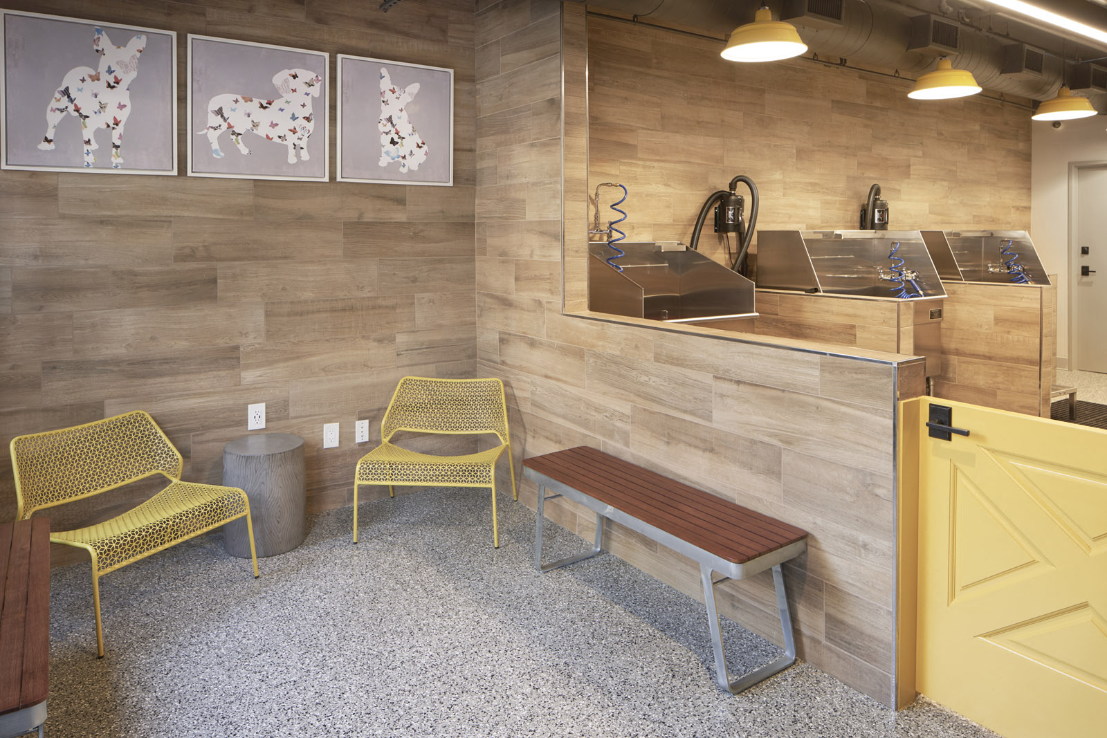 Pet washing station room