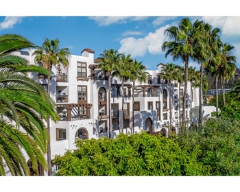 exterior building of promenade rio vista apartments and palm tree lush landscaping - Photo Gallery 4