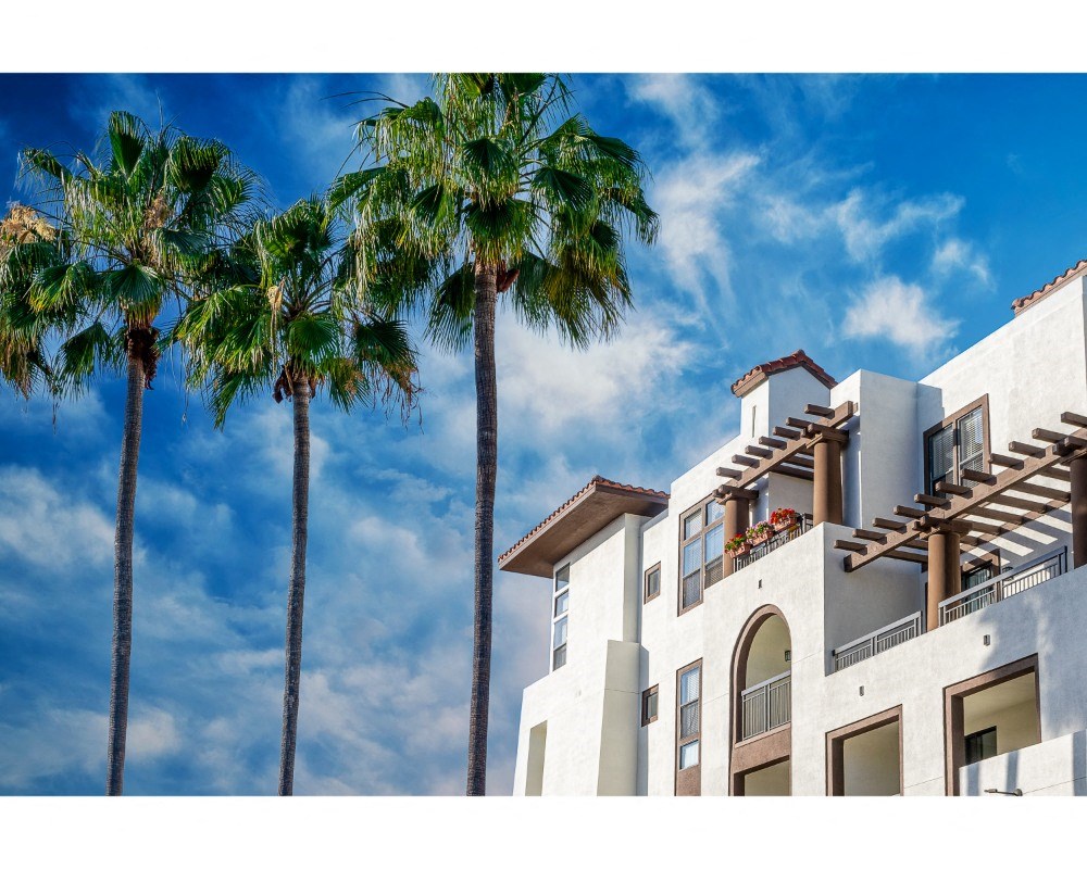 palm trees and blue sky at The Promenade Rio Vista, California