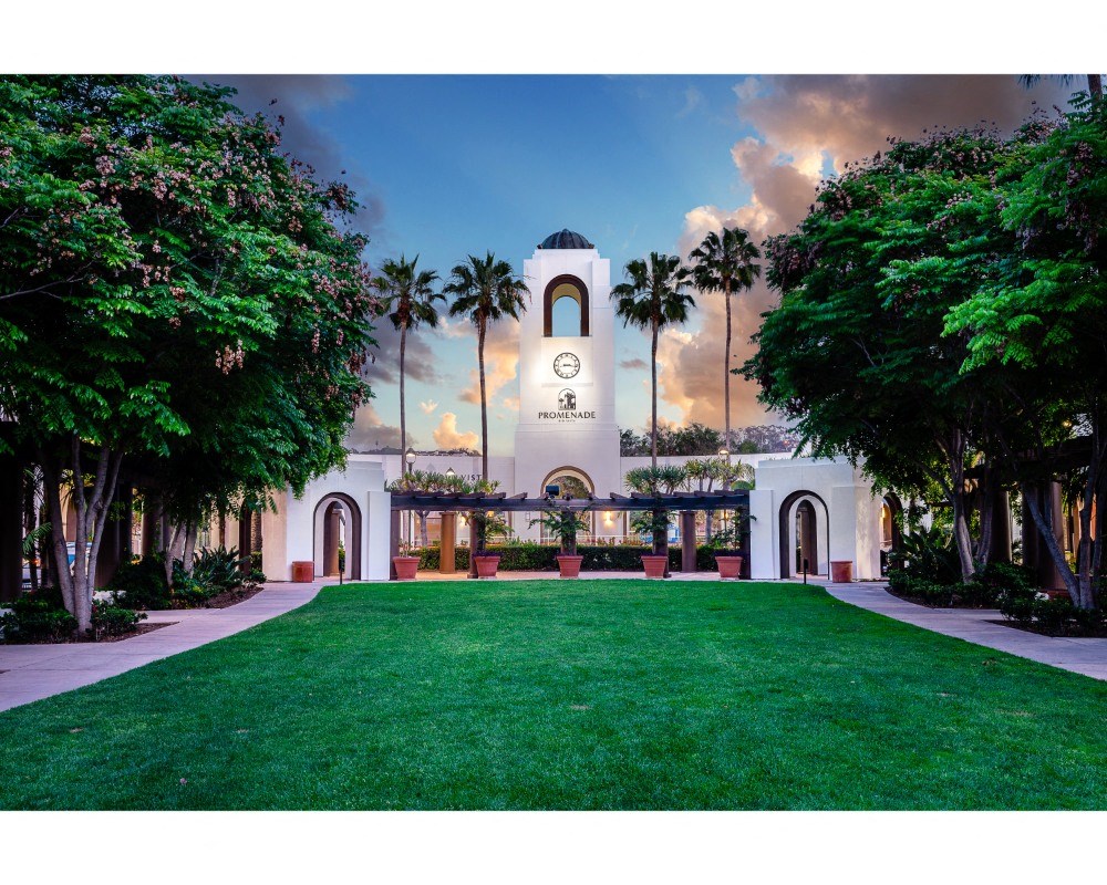 green grass landscaping and picnic area at The Promenade Rio Vista, San Diego, CA, 92108