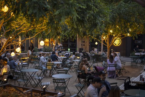 A group of people are sitting at tables under trees with lights.
