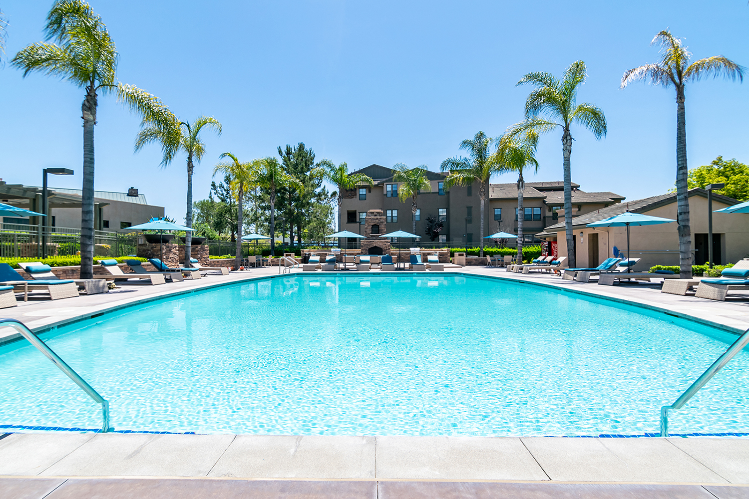 Three Bedroom apartments in Rancho Bernardo, San Diego CA - The Reserve at 4S Ranch - Large Sparkling Pool with Palm Trees, Lounge Chairs, and Umbrellas