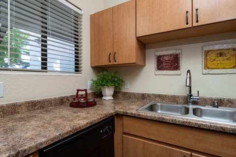 A kitchen with a black dishwasher and a granite countertop.