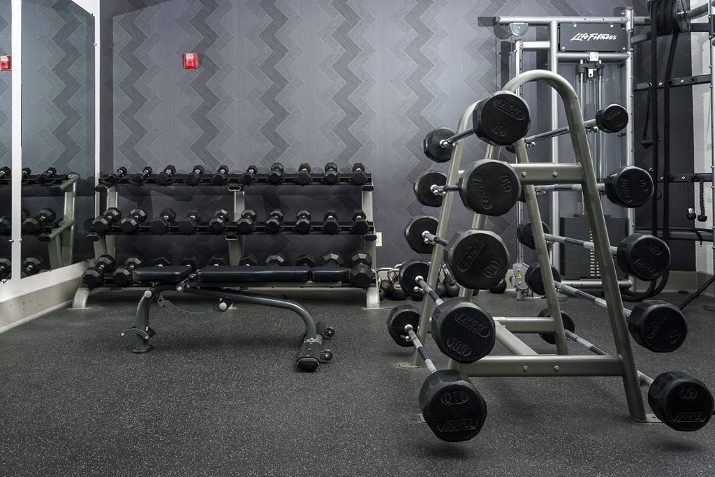 a free weights rack in a gym at Trend Design District, Dallas