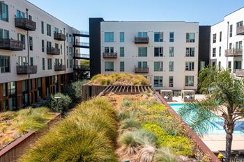 A pool is surrounded by a grassy area and palm trees. at The Union Flats, Union City