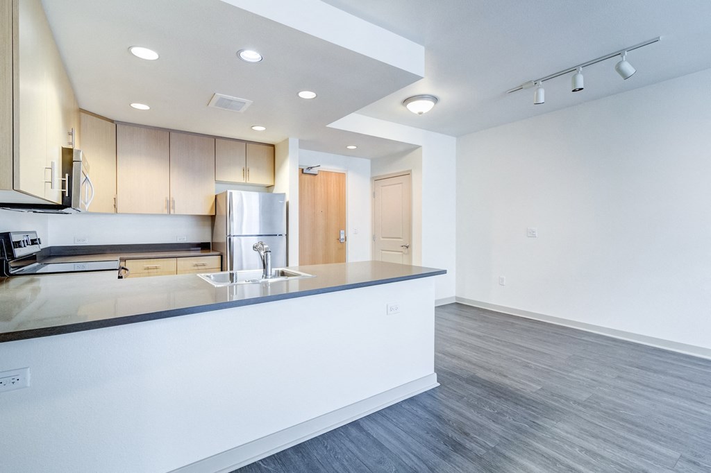 a kitchen and living room with a large counter top and a sink at Venue, San Francisco, CA, 94158