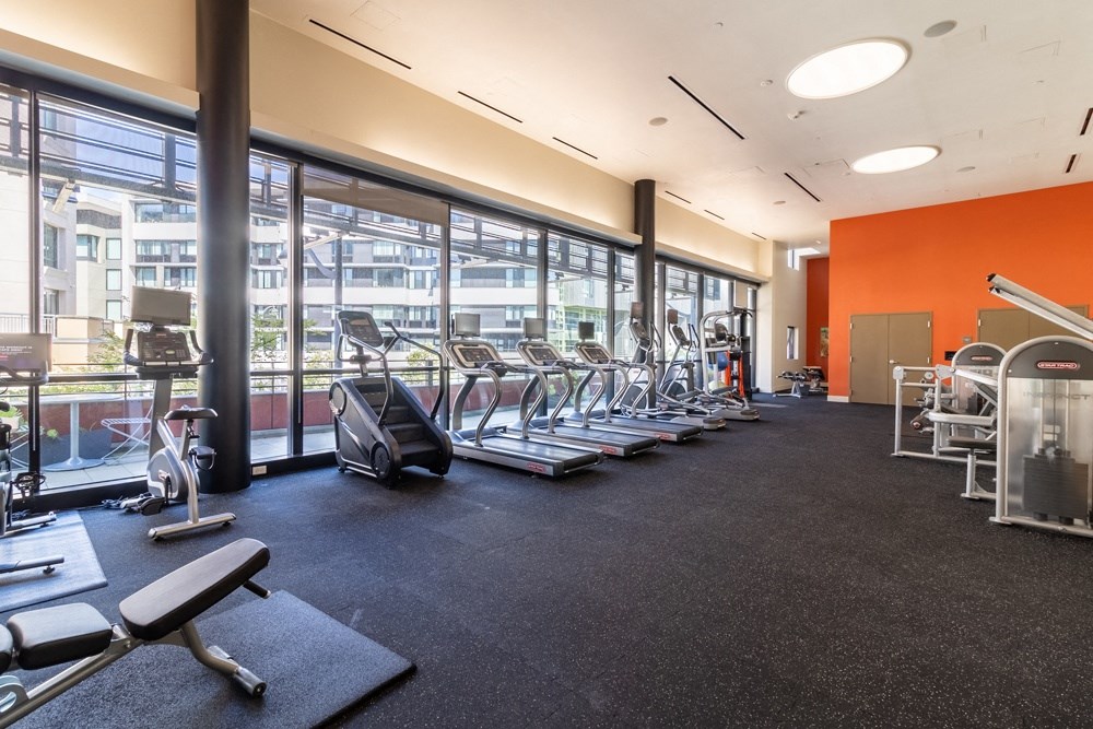 A gym with a variety of equipment including treadmills, weights, and exercise machines.
