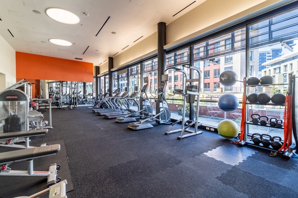 A gym with a variety of equipment including treadmills, weights, and exercise balls.