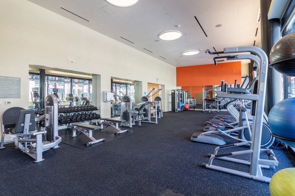 A gym with a variety of equipment including weights and cardio machines.