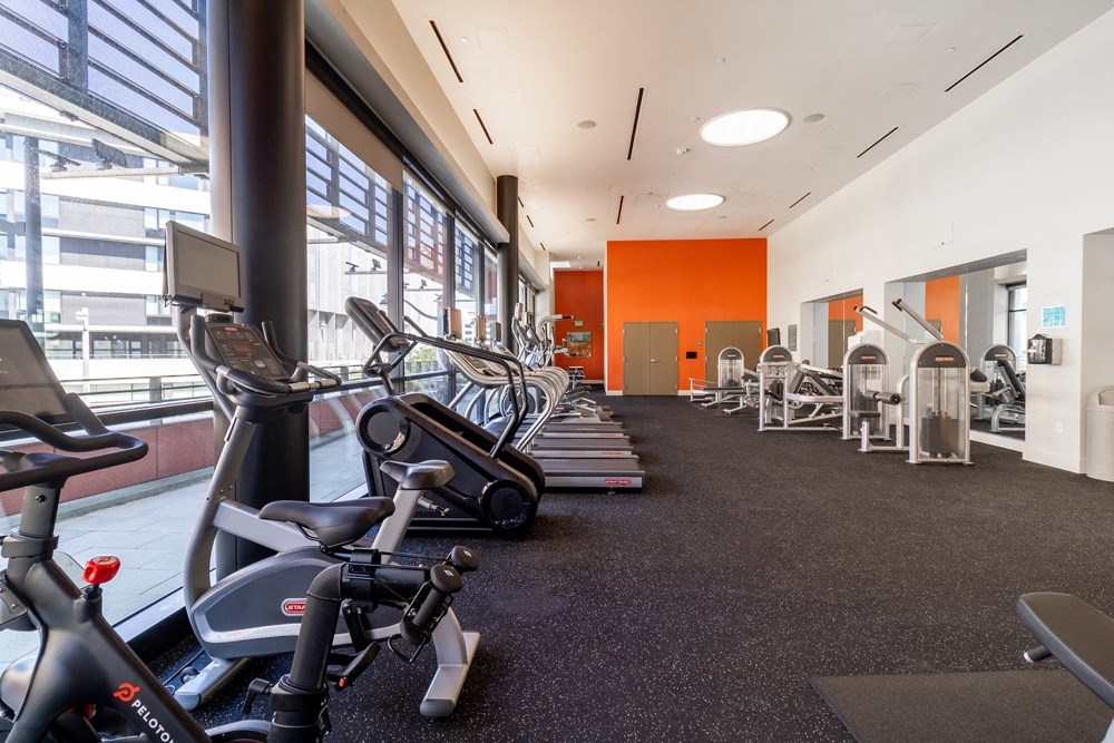 A gym with exercise bikes and treadmills.