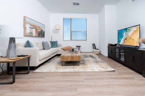 Living room with couch and TV