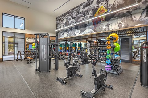 A gym with a variety of equipment including treadmills, weights, and exercise machines.