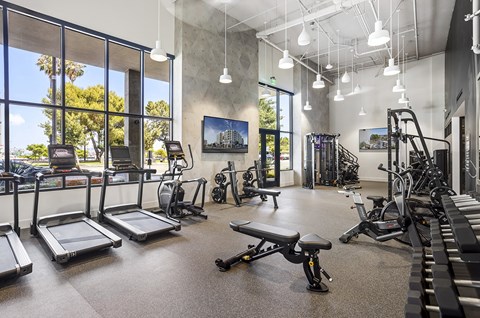 A gym with treadmills, exercise bikes, and other equipment.