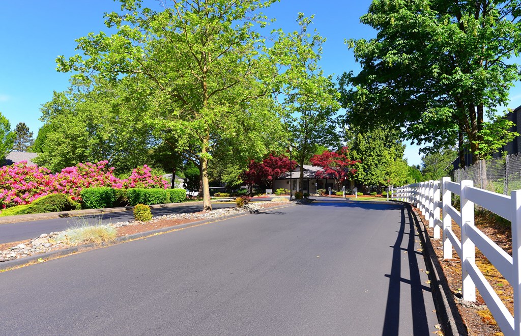 tree lined entryway at Woodlake Apartments, Kirkland, Washington