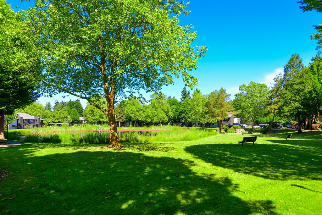 Community pond at Woodlake Apartments, Kirkland, Washington