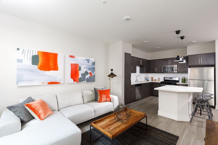 Living Room and Kitchen - Photo Gallery