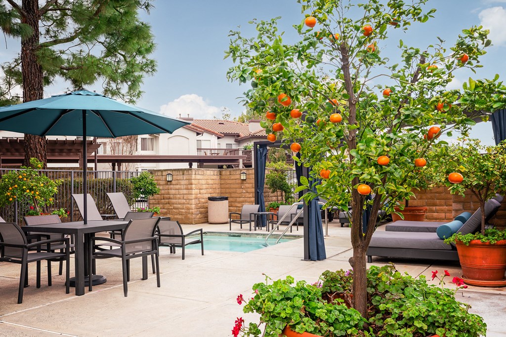 Pool area lounge seating