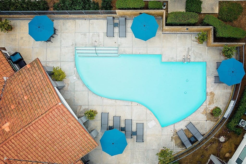 Overview of the pool and lounge area