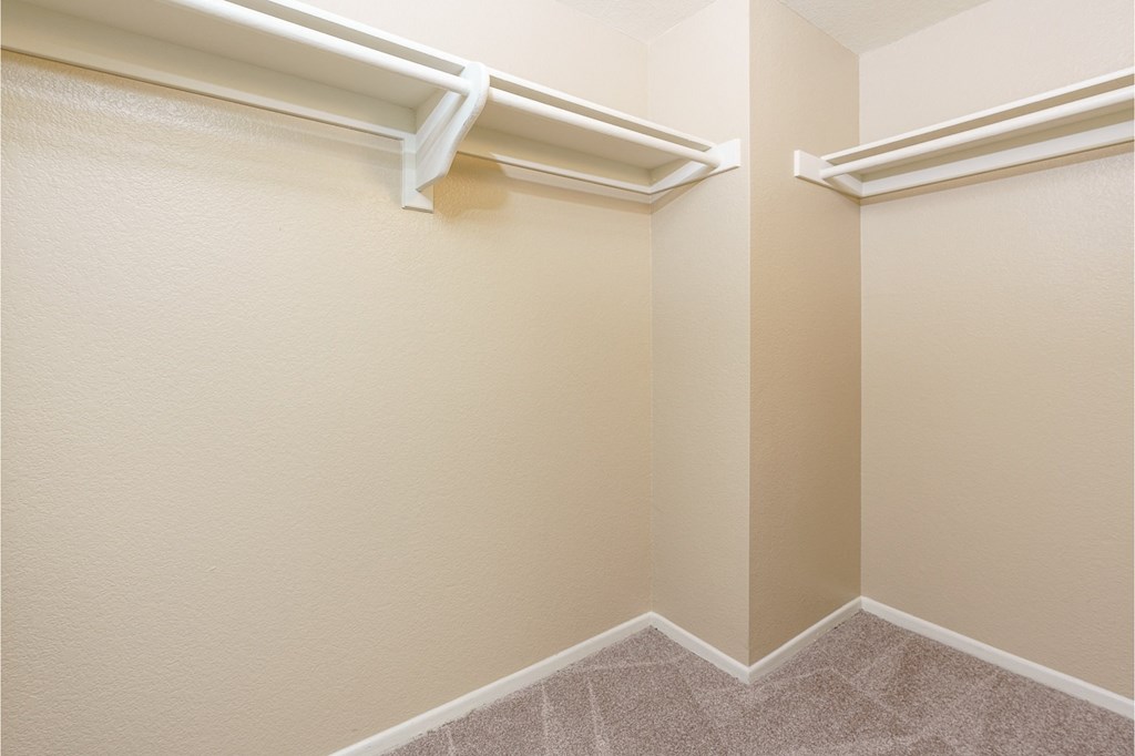 walk in closet with carpet flooring