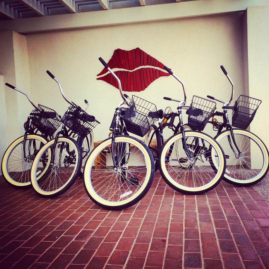 Winfield bikesat Winfield of Scottsdale, Scottsdale Arizona 