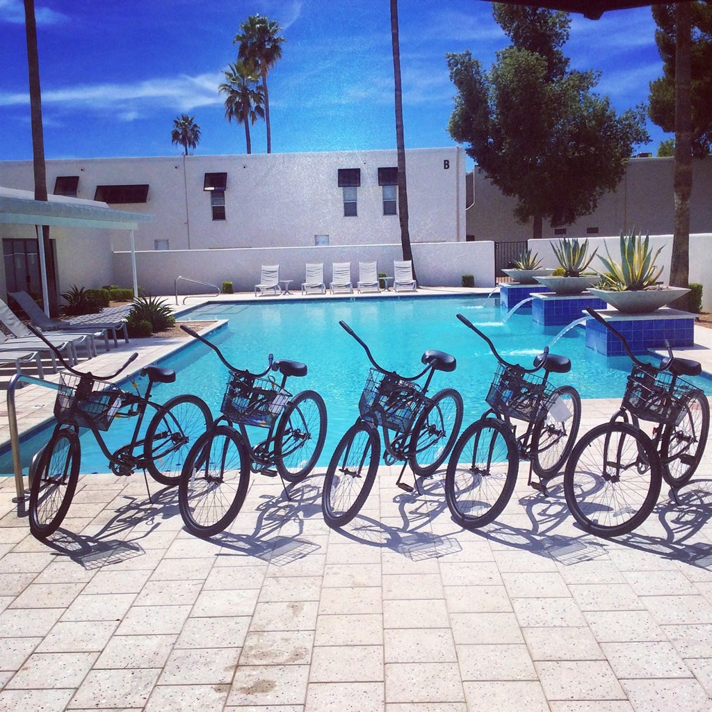 Winfield bikes by poolat Winfield of Scottsdale, Scottsdale, 85251  
