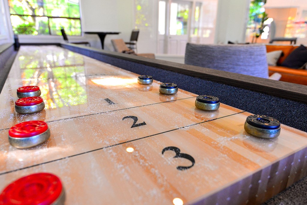 Games in Clubhouse at Woodlake Apartments, Kirkland, WA