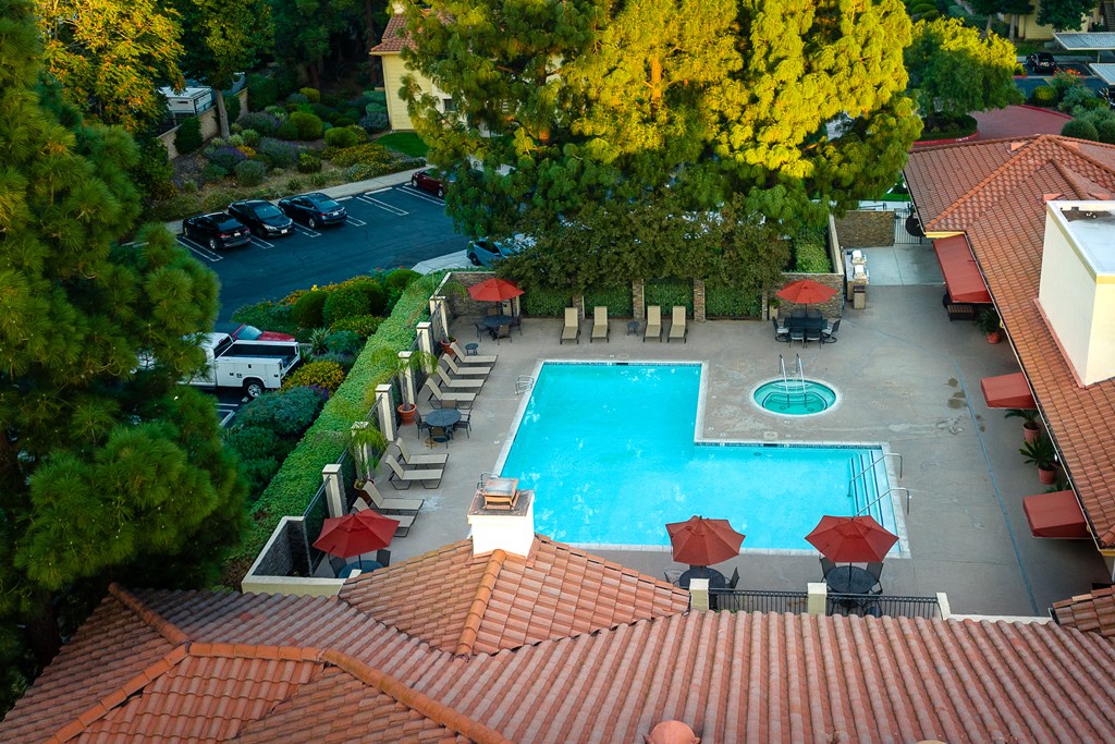 Aerial view of the pool and lounge seating