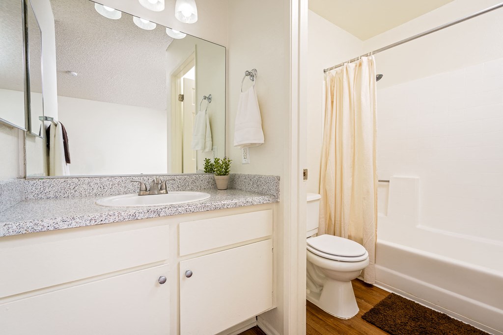 Bathroom with sink, toilet and shower