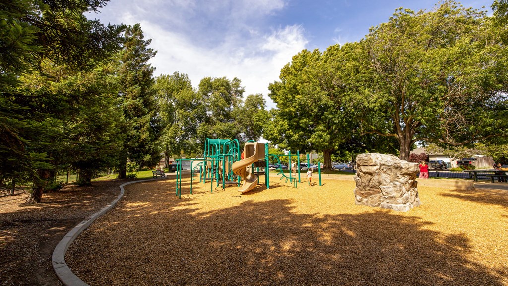 a playground with a slide and trees in a park at Avenue Two Apartments, Redwood City  , CA