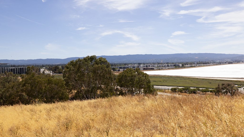a field of dry grass with a lake and a city in the background at Avenue Two Apartments, Redwood City