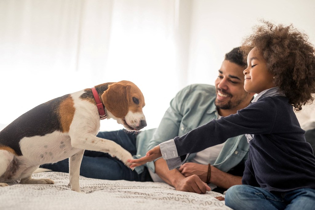 father and daughter at home petting their pet dog