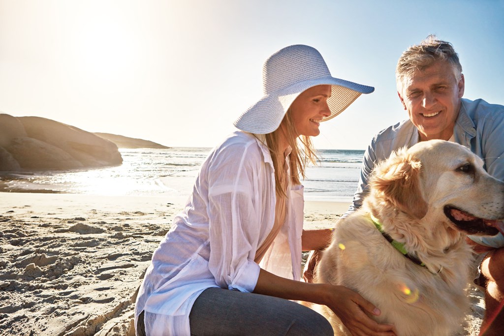 a man and a woman sitting on the beach with a dog