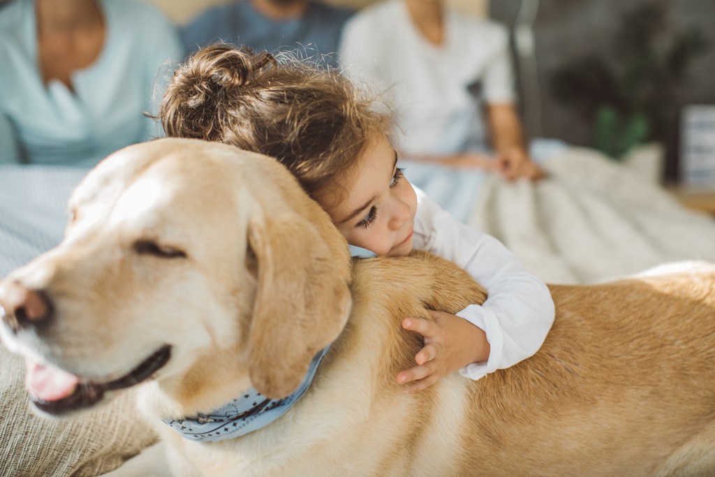 A young girl is hugging a golden retriever dog.