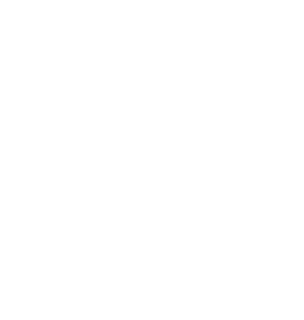 Centro Callan logo