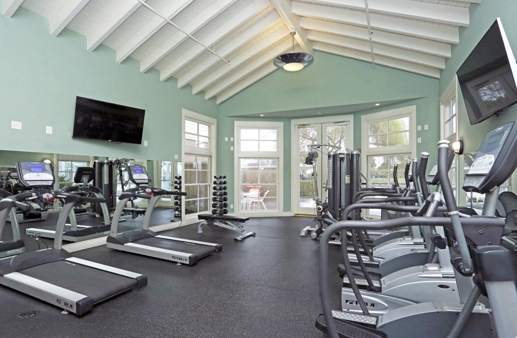 the gym is equipped with cardio equipment and glass windows