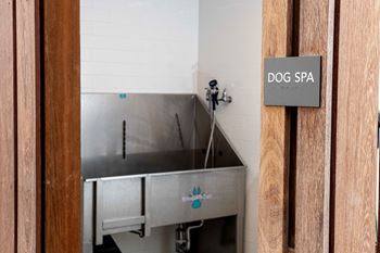 Dog Spa at The Union Flats, Union City, CA