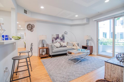 A living room with a grey couch and a grey rug.